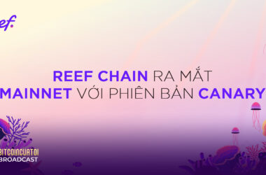 Reef Chain ra mắt Mainnet với phiên bản Canary