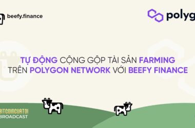 Tự động cộng gộp tài sản farming trên Polygon Network với Beefy Finance