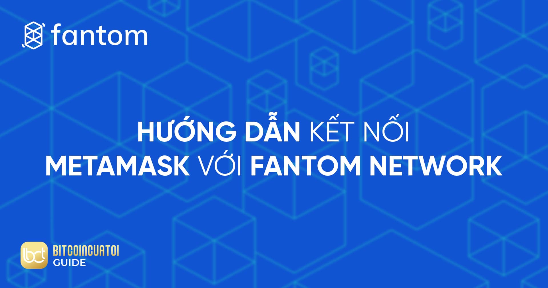 Hướng dẫn kết nối MetaMask với Fantom Network - Bitcoincuatoi