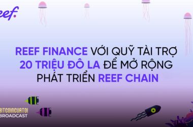 Reef Finance với Quỹ tài trợ 20 triệu đô la để mở rộng phát triển Reef Chain