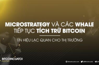 MicroStrategy và các Whale tiếp tục tích trữ Bitcoin - tín hiệu lạc quan cho thị trường