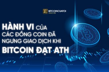 Hành vi của các đồng coin đã ngưng giao dịch khi Bitcoin đạt ATH