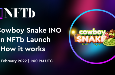 Thông tin chi tiết sự kiện INO của Cowboy Snake trên NFTb Launch