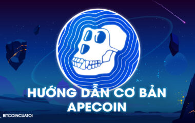 Hướng dẫn cơ bản về ApeCoin